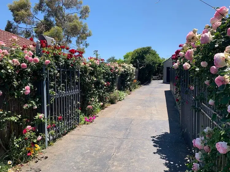 Main view of Homely house listing, 38A Hillcrest Road, Glenroy VIC 3046