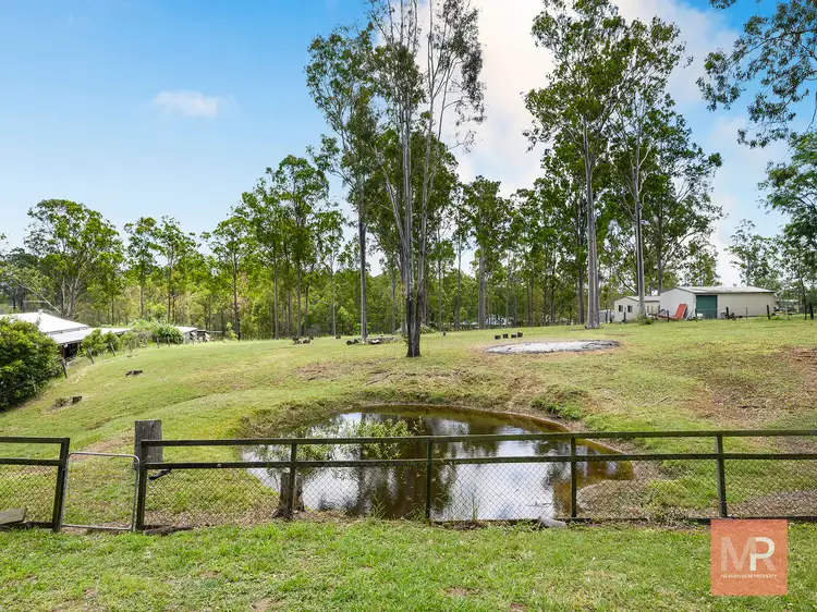 Main view of Homely house listing, 81 Bamboo Drive, Cedar Vale QLD 4285