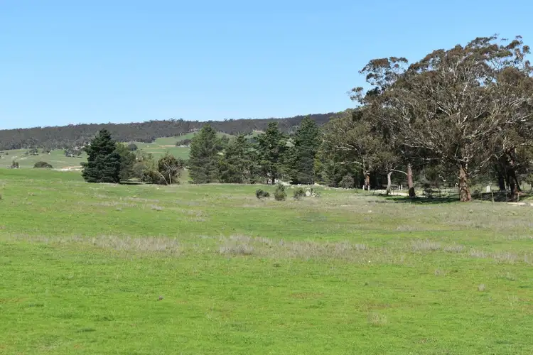 Sixth view of Homely rural property listing, 653 Boro Road, Boro NSW 2622