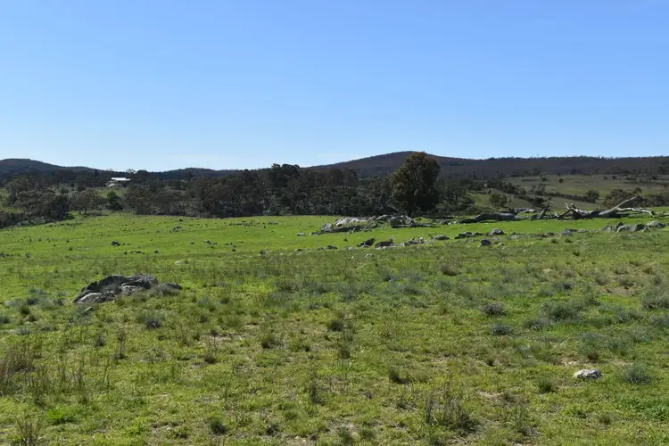 Seventh view of Homely rural property listing, 653 Boro Road, Boro NSW 2622