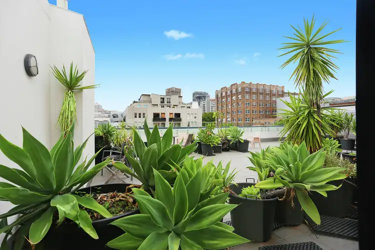 Fourth view of Homely apartment listing, 12/37 Bay Street, Glebe NSW 2037