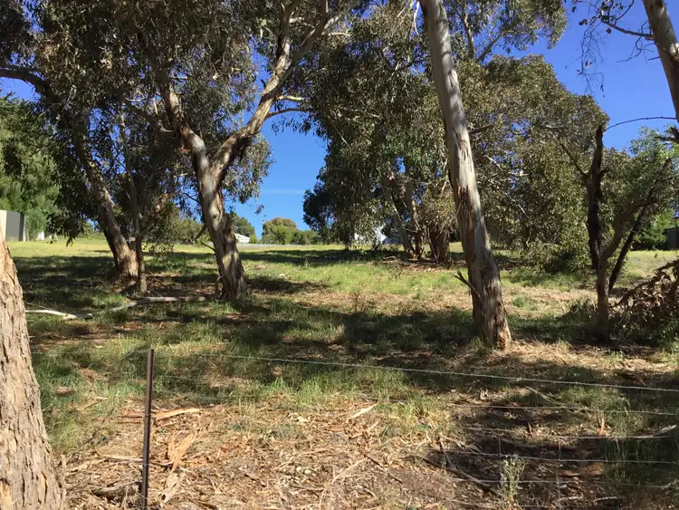 Third view of Homely land listing, LOT 44,45,83 North East Terrace and Nilsson Streets, Rendelsham SA 5280