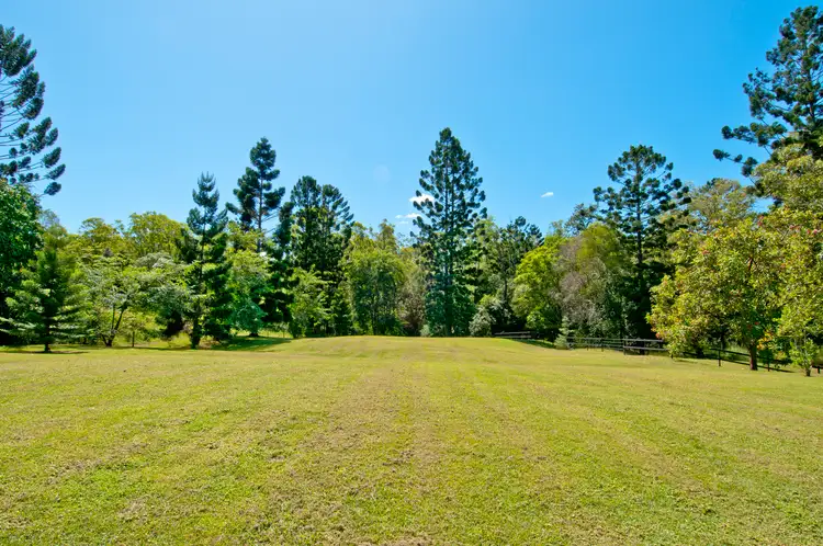 Second view of Homely house listing, 51 Blackbean Street, Cedar Vale QLD 4285