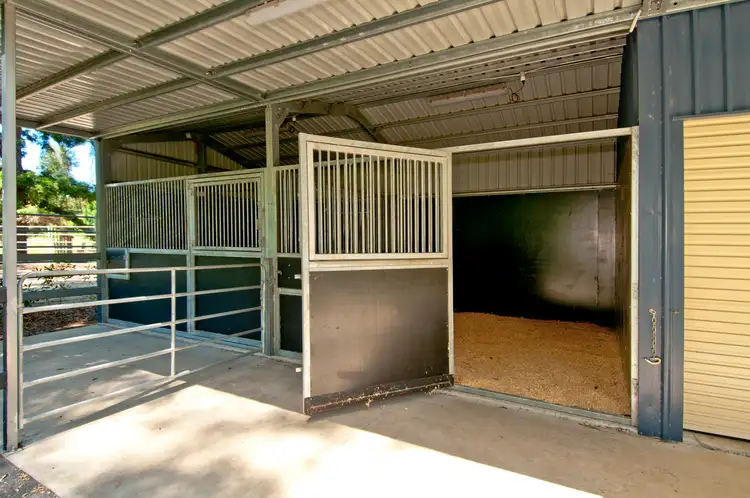Third view of Homely house listing, 51 Blackbean Street, Cedar Vale QLD 4285