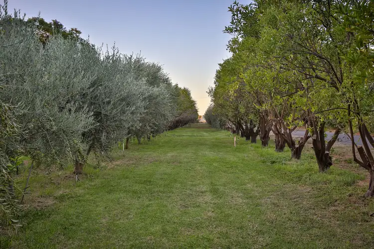 Fourth view of Homely land listing, 127 Adelaide Street, Gol Gol NSW 2738