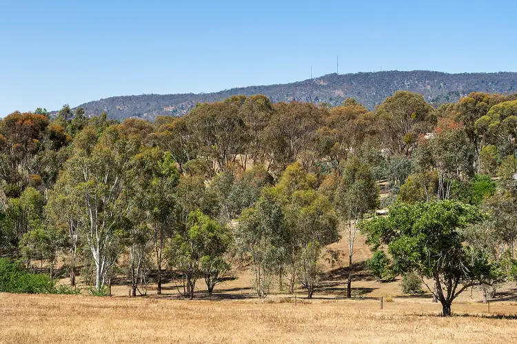 Seventh view of Homely land listing, 115 Peelers Road, Barkers Creek VIC 3451