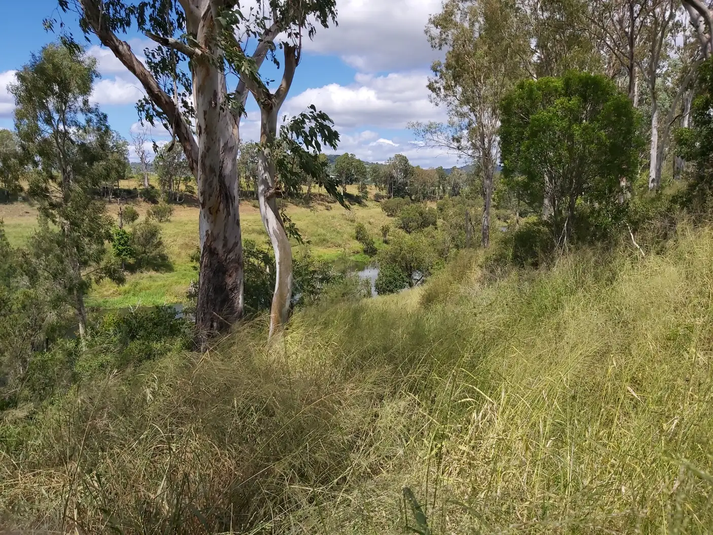 Main view of Homely rural property listing, Address available on request
