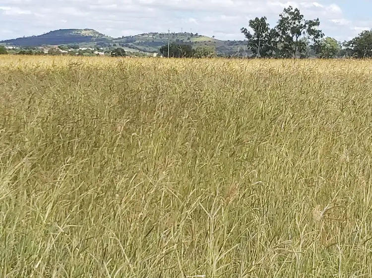 Second view of Homely land listing, 56 Oreillys Weir Road, Patrick Estate QLD 4311