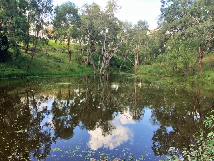 Seventh view of Homely land listing, 11 HALL ROAD, Merriwa NSW 2329