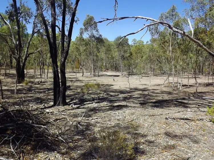 Fourth view of Homely rural property listing, 2639 Gulf Road, Emmaville NSW 2371