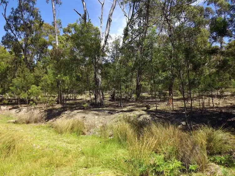 Seventh view of Homely house listing, 27 Catarrh Creek Road, Torrington NSW 2371