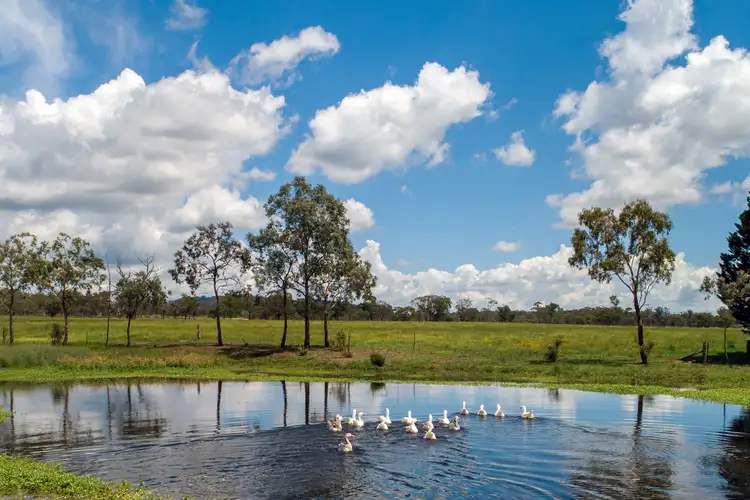 Seventh view of Homely rural property listing, 13192 Gwydir Highway, Glen Innes NSW 2370