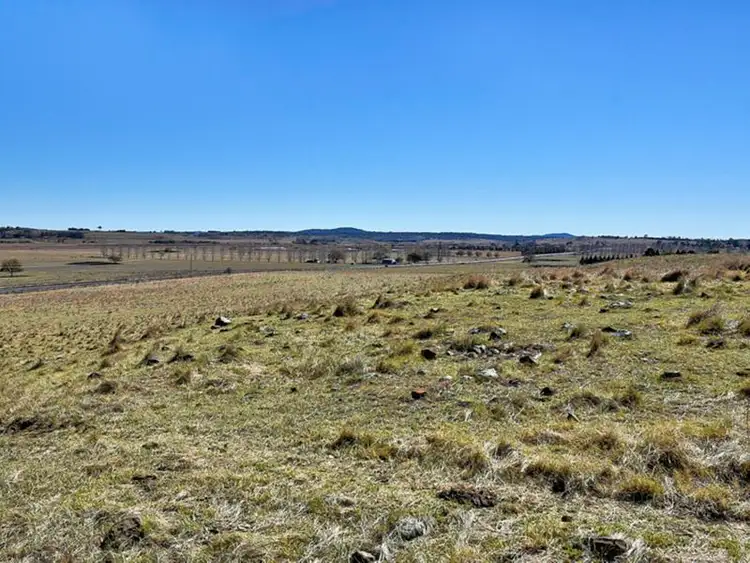 Seventh view of Homely rural property listing, 194 New England Highway, Glen Innes NSW 2370