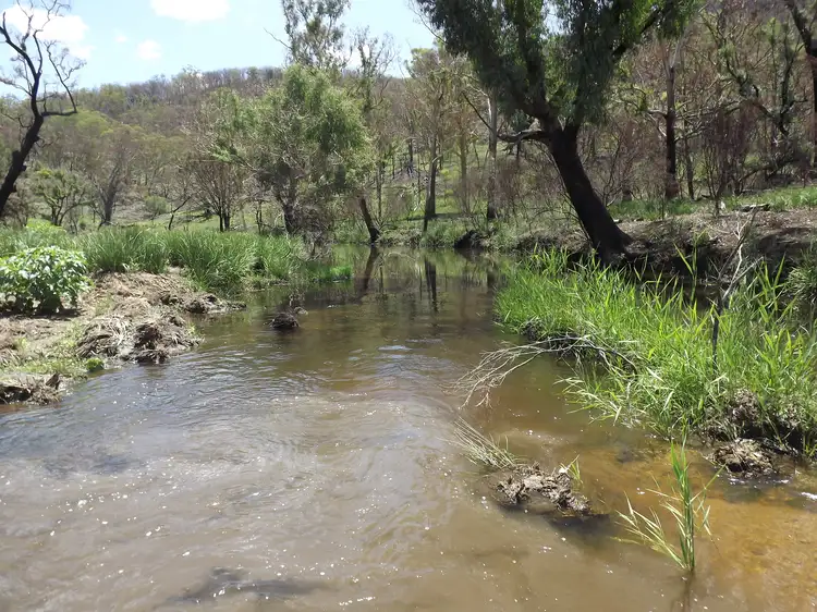 21 & 22,  Tent Hill Road, Emmaville NSW 2371