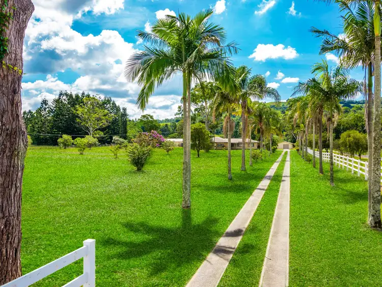 Fifth view of Homely rural property listing, 286 Main Arm Rd, Mullumbimby NSW 2482