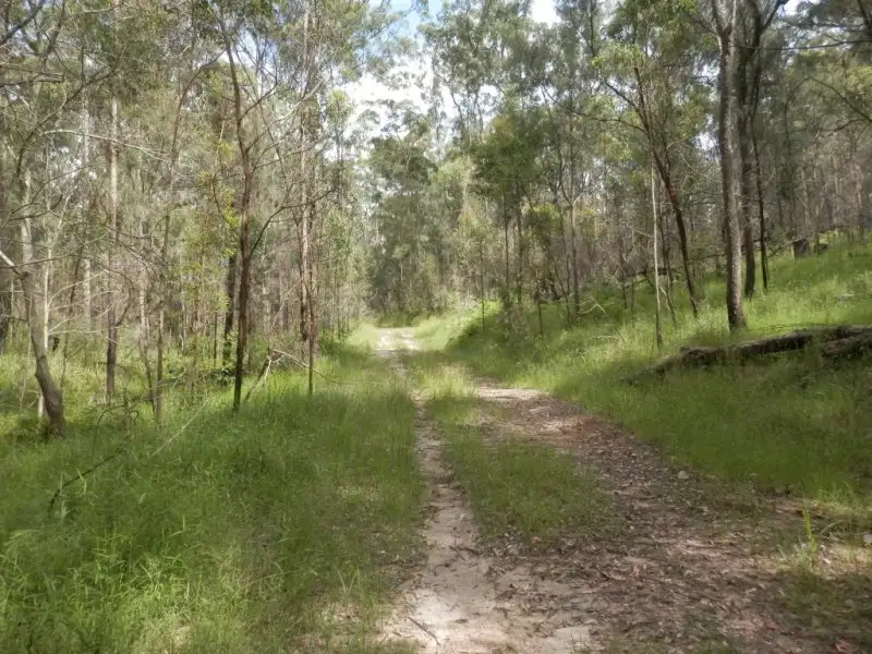 Main view of Homely rural property listing, Lot 5 Long Gully Road, Drake NSW 2469
