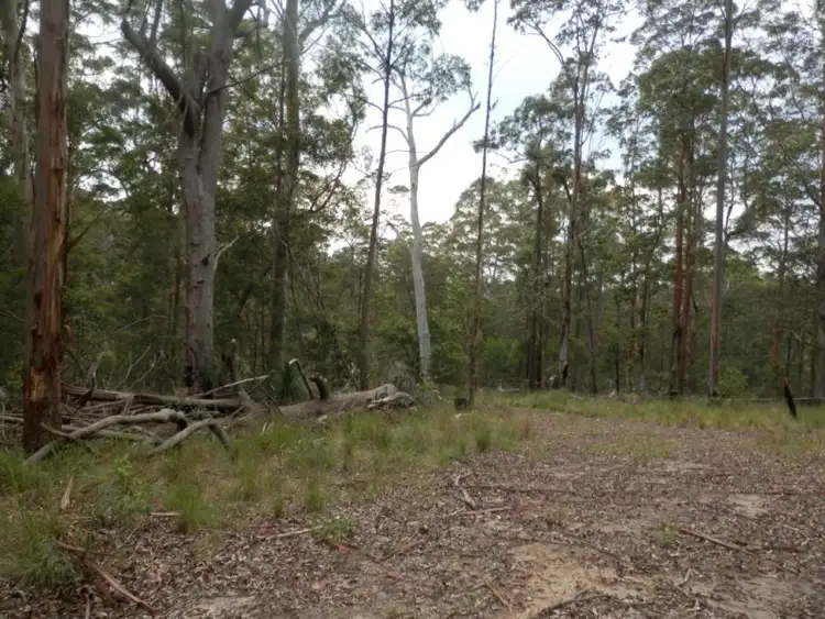 Third view of Homely rural property listing, Lot 5 Long Gully Road, Drake NSW 2469