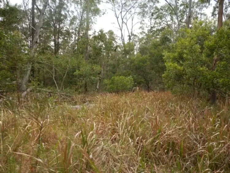 Fifth view of Homely rural property listing, Lot 5 Long Gully Road, Drake NSW 2469