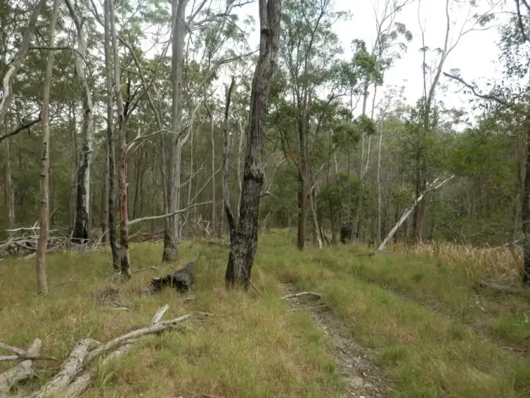 Seventh view of Homely rural property listing, Lot 5 Long Gully Road, Drake NSW 2469