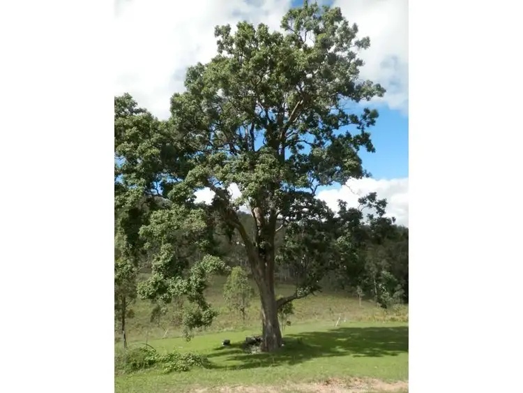 Second view of Homely rural property listing, Address available on request