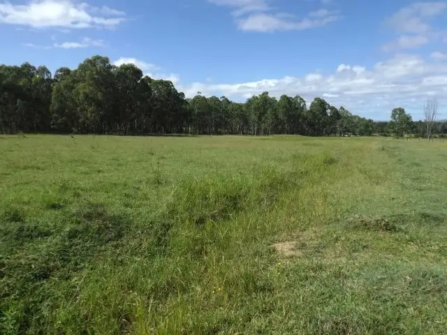 Fifth view of Homely rural property listing, 870 Mongogarie Road, Mongogarie NSW 2470