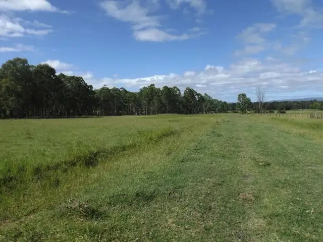 Sixth view of Homely rural property listing, 870 Mongogarie Road, Mongogarie NSW 2470