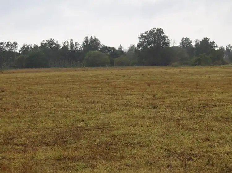 Fourth view of Homely rural property listing, 155 Broadheads Road, Shannon Brook NSW 2470