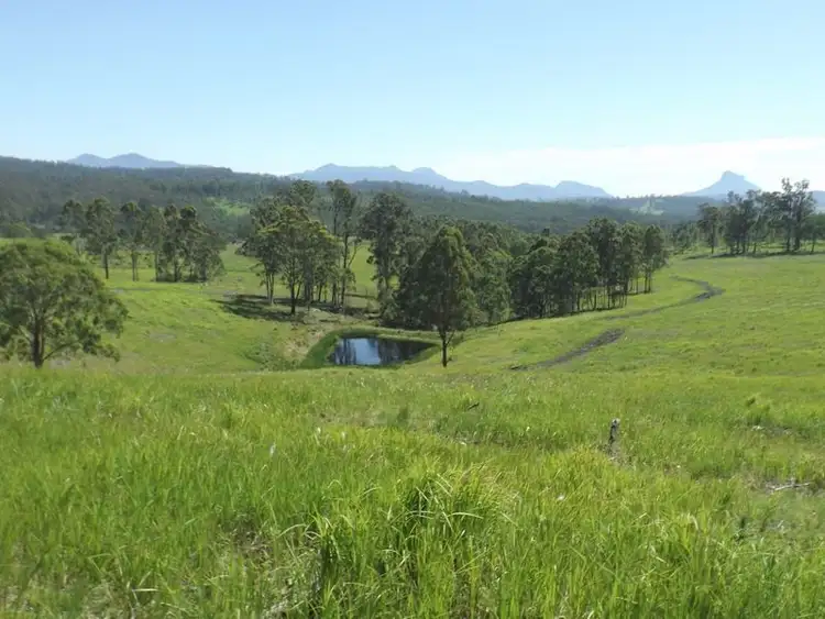 Third view of Homely rural property listing, 1284 Beaury Creek Road, Urbenville NSW 2475
