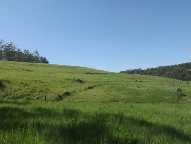 Sixth view of Homely rural property listing, 1284 Beaury Creek Road, Urbenville NSW 2475