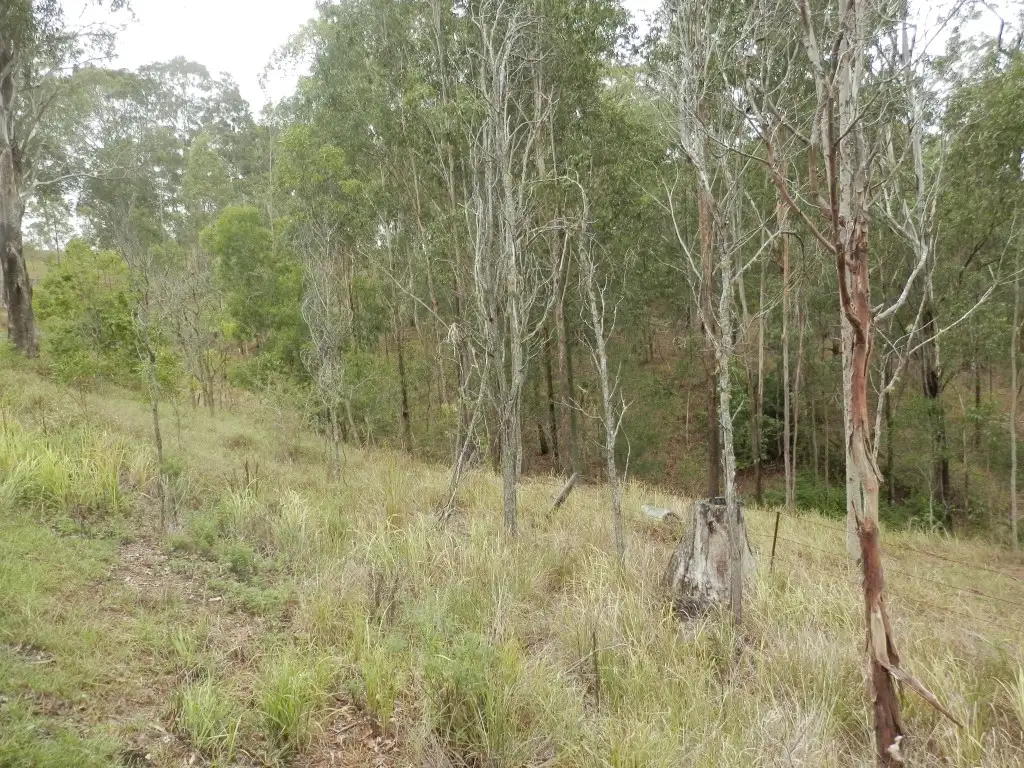 Main view of Homely land listing, 1 Clarence Way, Bonalbo NSW 2469
