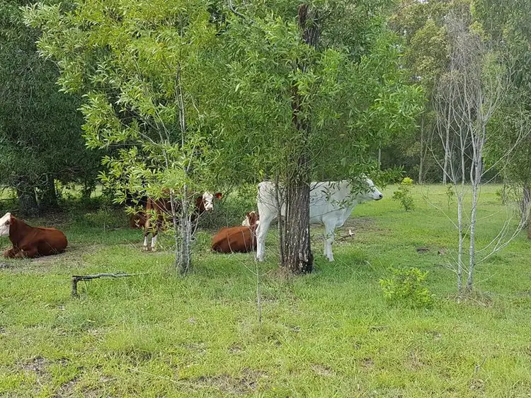 Sixth view of Homely land listing, 305 Kings Lane, Tatham NSW 2471