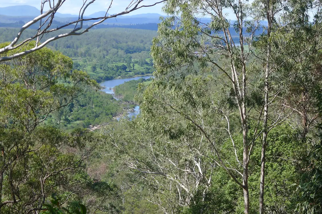Main view of Homely rural property listing, 528 Plains Station Road, Tabulam NSW 2469
