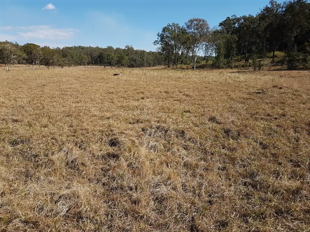 Main view of Homely rural property listing, 1130 Dyraaba Road, Dyraaba NSW 2470