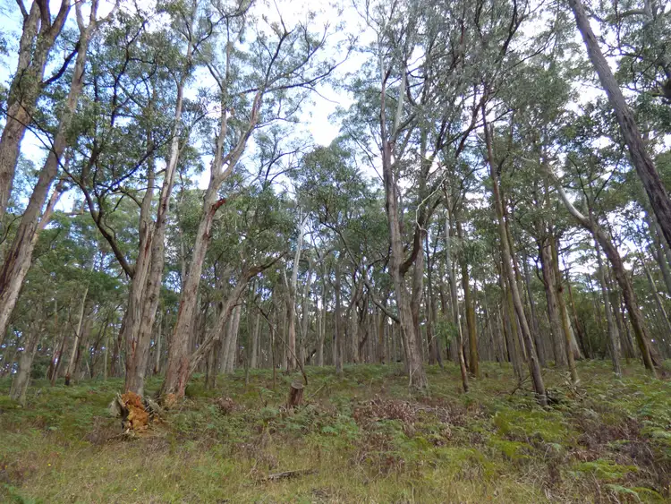 Third view of Homely land listing, LOT 4 Calways Lane, Gordon VIC 3345