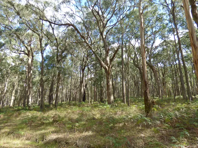 Main view of Homely land listing, LOT 2 Calways Lane, Gordon VIC 3345
