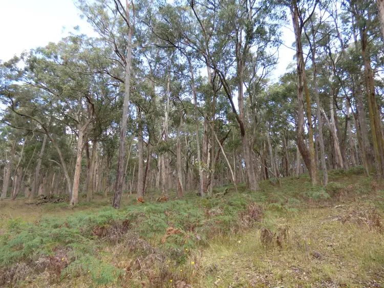 Second view of Homely land listing, LOT 2 Calways Lane, Gordon VIC 3345