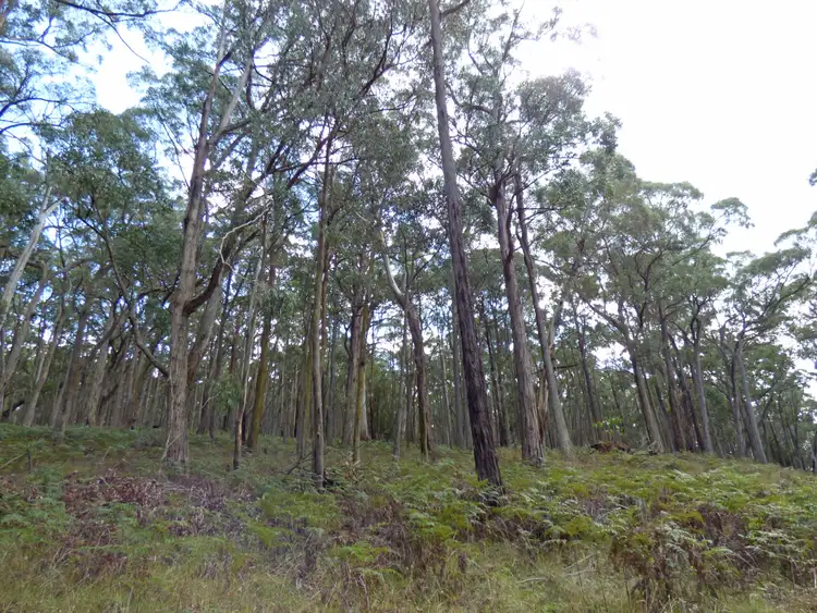 Third view of Homely land listing, LOT 2 Calways Lane, Gordon VIC 3345