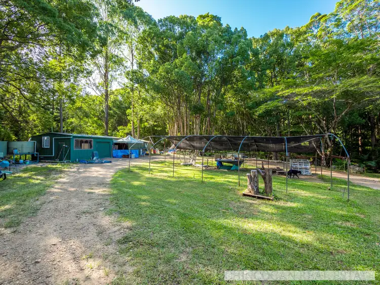Fourth view of Homely rural property listing, 240 Crabbes Creek Road, Crabbes Creek NSW 2483