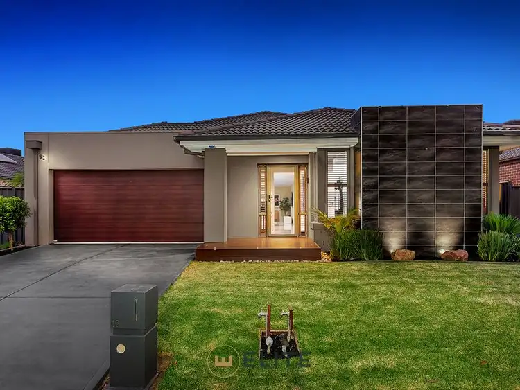 16 Gladiolus Circuit, Cranbourne North VIC 3977