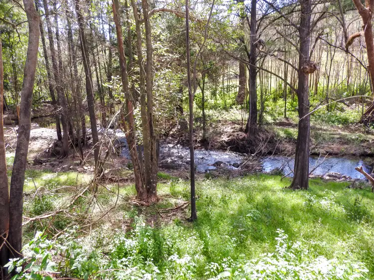 Sixth view of Homely land listing, 2558 Bulga Road, BOBIN via, Wingham NSW 2429