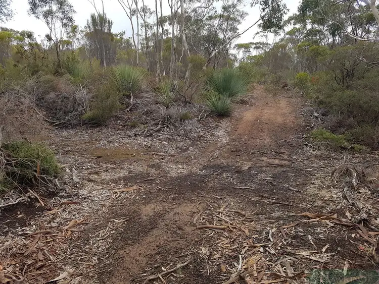 Sixth view of Homely land listing, LOT 99 Birchmore Road, Macgillivray SA 5223