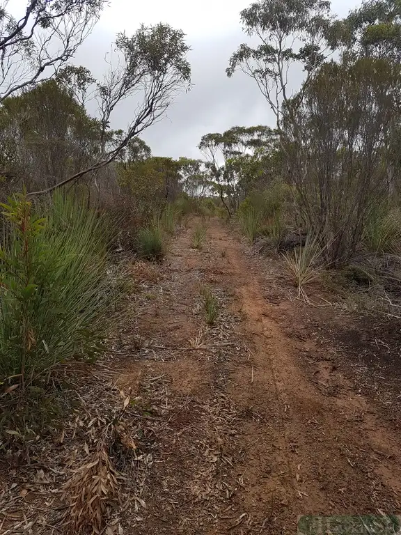 Seventh view of Homely land listing, LOT 99 Birchmore Road, Macgillivray SA 5223