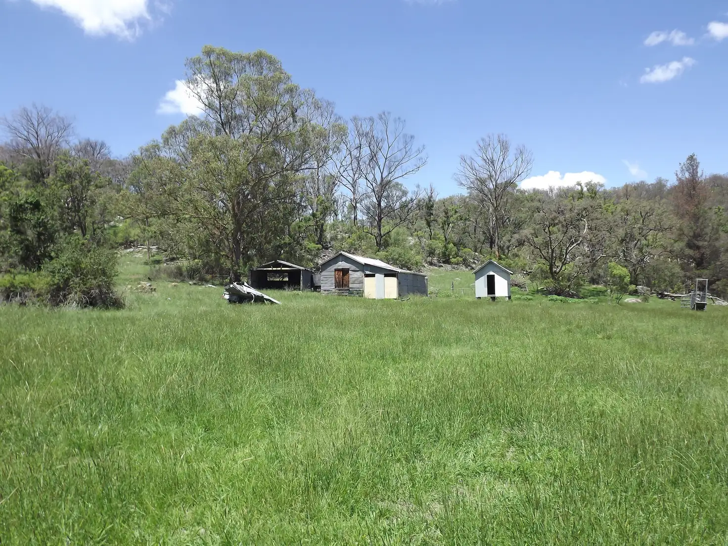Main view of Homely rural property listing, LOT 20 Tent Hill Road, Emmaville NSW 2371