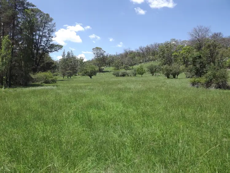Third view of Homely rural property listing, LOT 20 Tent Hill Road, Emmaville NSW 2371