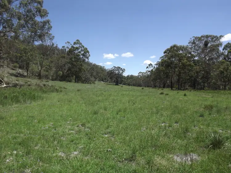 Fourth view of Homely rural property listing, LOT 20 Tent Hill Road, Emmaville NSW 2371