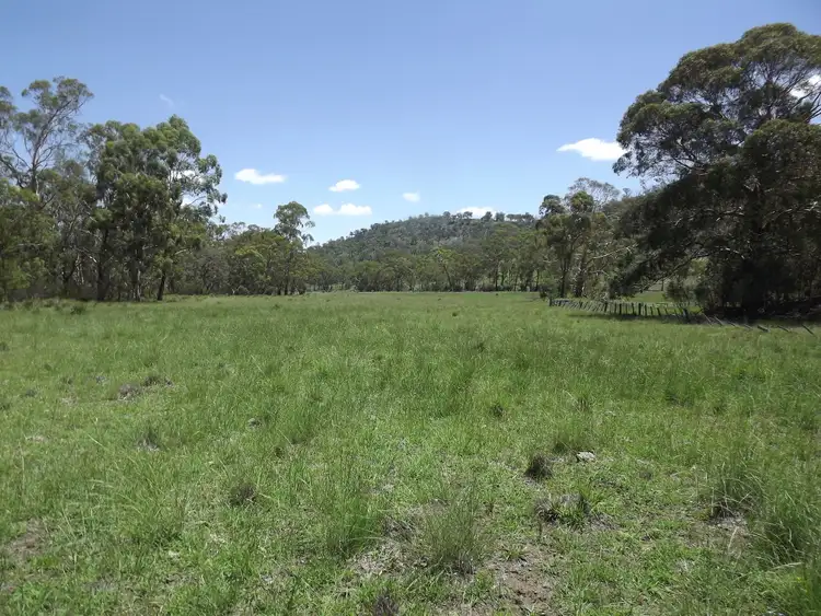 Fifth view of Homely rural property listing, LOT 20 Tent Hill Road, Emmaville NSW 2371