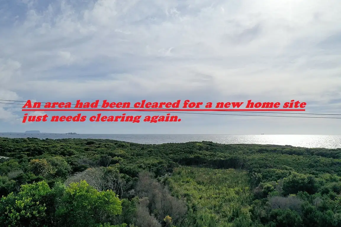 Main view of Homely land listing, 44 Amaroo Drive, Edgcumbe Beach TAS 7321