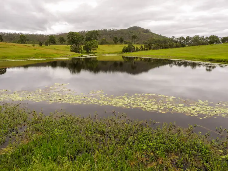 Fourth view of Homely rural property listing, 236a Khatabundah Road, Wingham NSW 2429