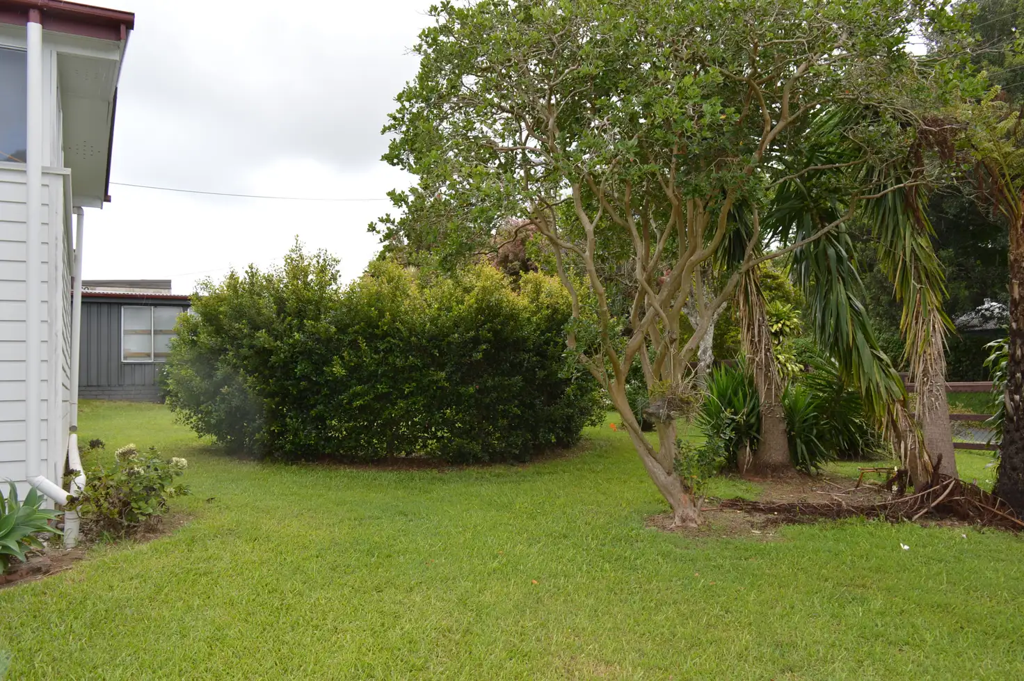 Main view of Homely house listing, 23 Bean Street, Maleny QLD 4552