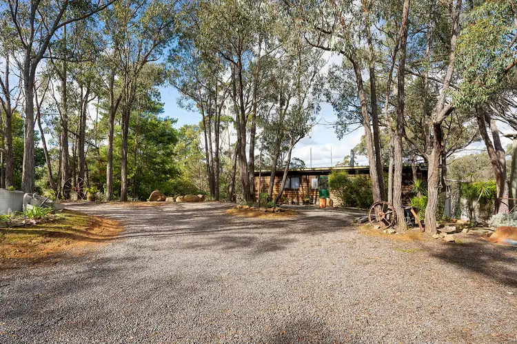 Main view of Homely house listing, 10 Kangaroo Road, Chewton Bushlands VIC 3451